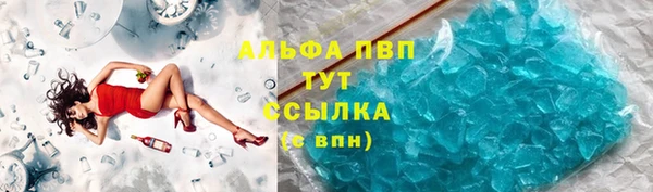 шишки Козельск