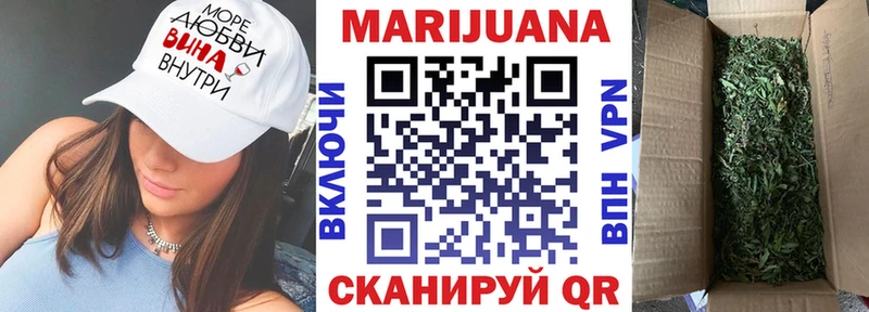 Бошки марихуана конопля  darknet формула  Курлово  закладка 